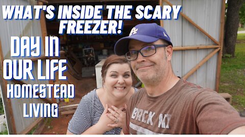 DITL | Homestead Life | What Is Inside The Freezer!