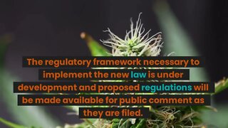 The Marihuana Regulation & Taxation Act NEW ⭐⭐⭐YORK