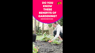 Top 3 Health Benefits Of Gardening *