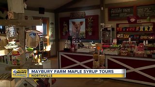 Maple Syrup Tours