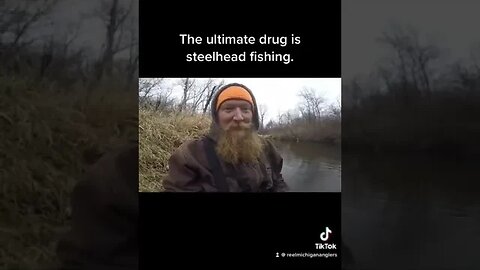 The Tug is The Drug #shorts #steelheadfishing #steelhead #trout #troutfishing #catchandrelease