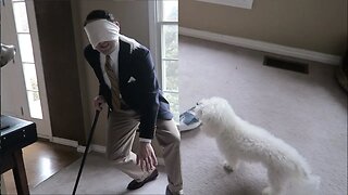 Trying to Find Dog Blindfolded!