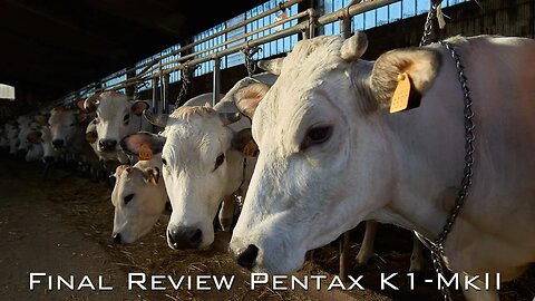 Pentax K1 mkII: Final review