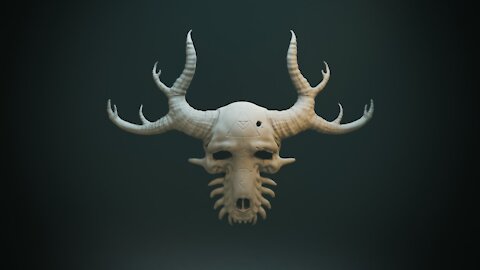 202115.Heavy horns - Taxidermy wall