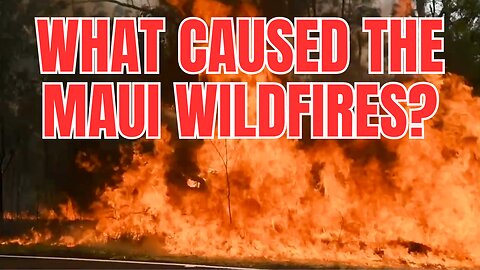 Forest Management and the Maui Wildfires
