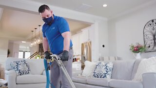 Cleaner Carpets, Cleaner Home