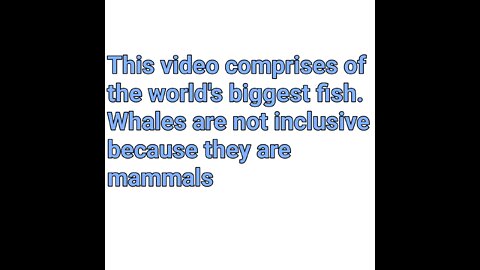 The World's Biggest Fish