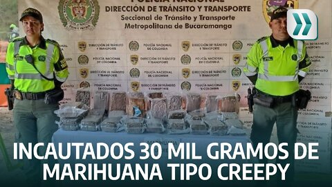 Incautados 30 mil gramos de marihuana tipo creepy en un camión de encomiendas