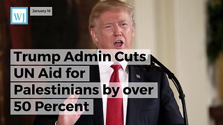 Trump Admin Cuts Un Aid For Palestinians By Over 50 Percent