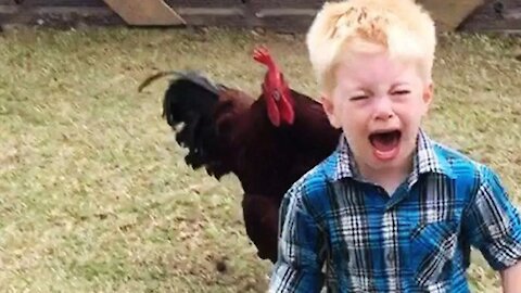 Funny Chickens Chasing Troll Babies and Kids|| Funny