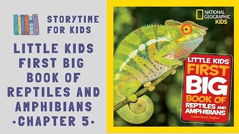 🐊 Chapter 5 🦎 Little Kids First Big Book of Reptiles 🐢 and Amphibians 🐸 @storytimeforkids123