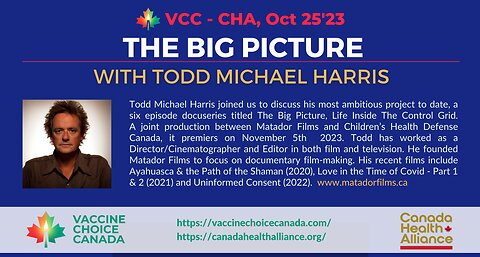 The Big Picture Film - Todd Michael Harris