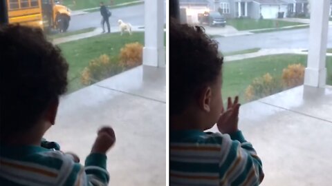 Kid sweetly sees big brother off to school every morning