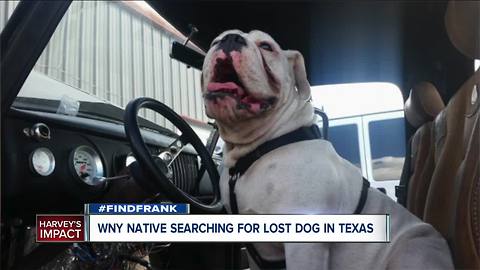 #FindFrank