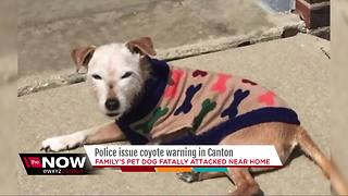 Police issue coyote warning in Canton