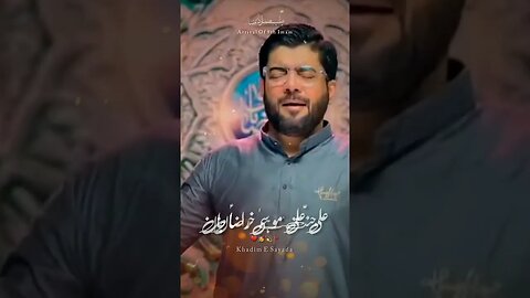 11 Zilqad Status Imam E Raza | WhatsApp Status | Mir Hasan Mir | #shorts #ytshorts #shortsfeed