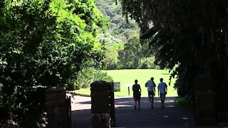 SOUTH AFRICA - Cape Town - Kirstenbosch National Botanical Garden (Video) (ywa)