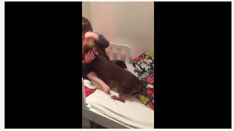 Dog Lavishes Little Boy With Smooches Every Single Morning