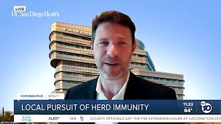 Local pursuit of herd immunity