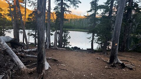 Sunrise Perspective of Jack Lake Shoreline Backcountry Camping Zone @ Three Fingered Jack Loop! | 4K