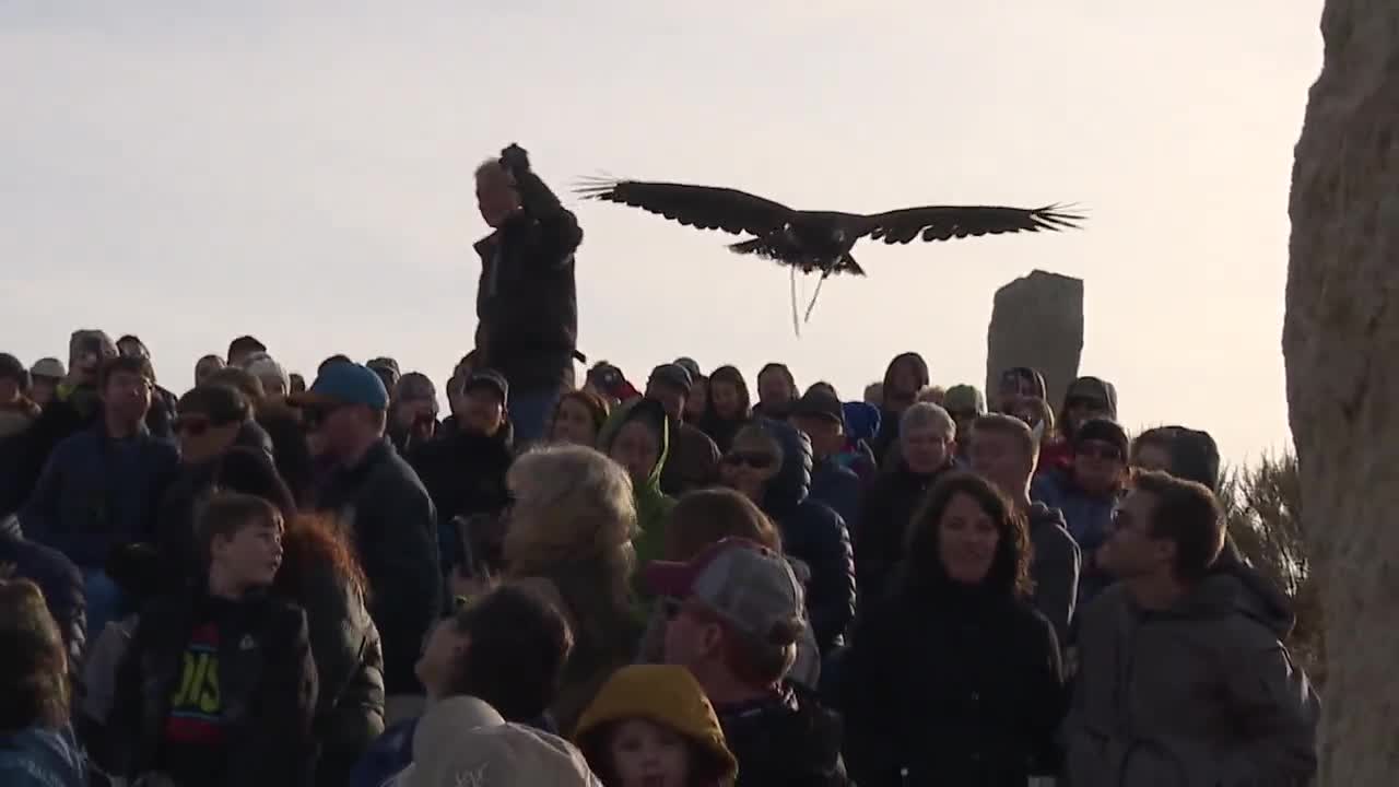 The World Center for Birds of Prey finishes a successful fall flight season