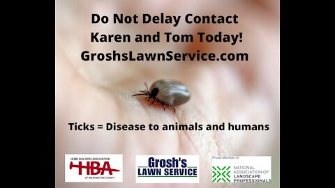 Ticks Greencastle PA lawn Care Treatments Lyme Disease