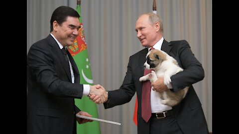 Putin.Humor.Puppy.Animals.President Putin.Dogs