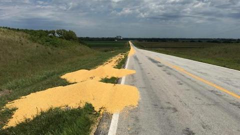 Fired Truck Driver Dumps Corn On Highway In Revenge, Plan Backfires