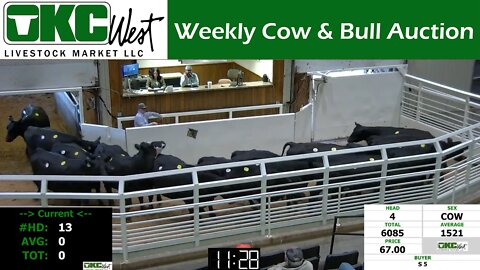 10/17/2022 - OKC West Weekly Cow & Bull Auction