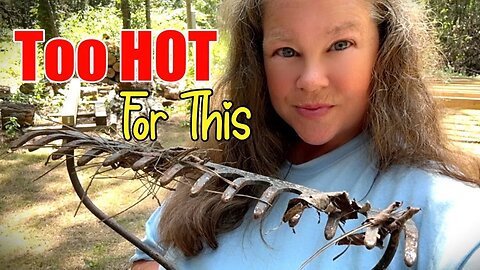 TOO HOT for this, Heat Advisory, Free Camper, Single Woman, Builds, Tiny House, In the Woods, Alone