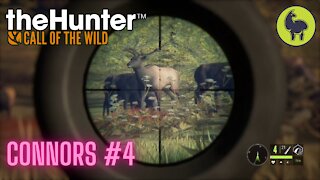 The Hunter: Call of the Wild, Connors #4