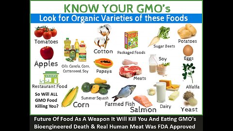 Future Of Food As A Weapon It Will Kill You And Eating GMO's Bioengineered Death