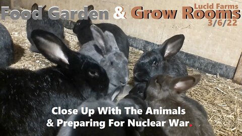 Close Up With The Animals & Preparing For Nuclear War. 3/6/22 Food Garden & Grow Rooms.