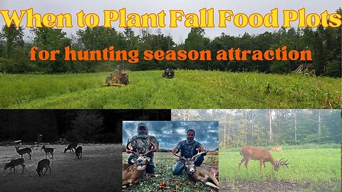 When to Plant Fall Food Plots for Maximum Hunting Season Attraction