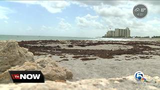 Beaches reopen in Palm Beach County Wednesday