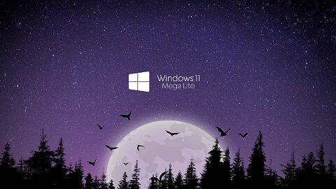 WINDOWS 11 MEGA LITE - Transform your OLD PC into a CURRENT MACHINE