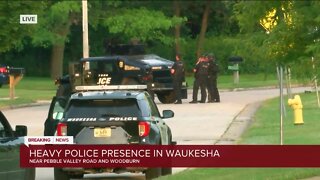 Waukesha police respond to domestic incident