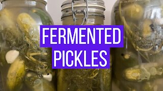 Fermented Pickles