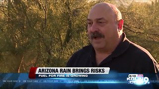 Arizona rainfall brings fire risks