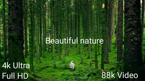 88k videos || Natural Beauty || Natural Videos Status, full HD 1080p