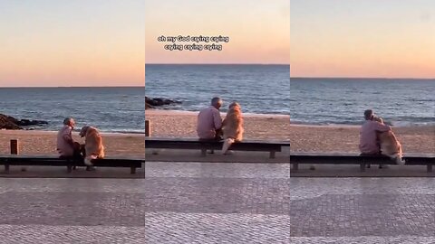 Old Man Watching the Sunset with His Dog