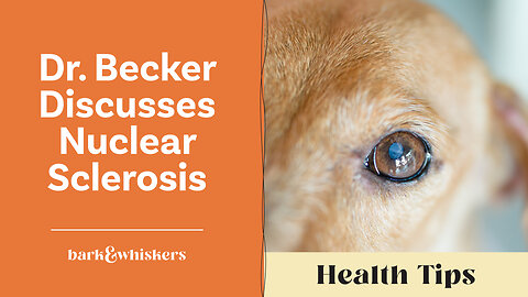 Dr. Becker Discusses Nuclear Sclerosis