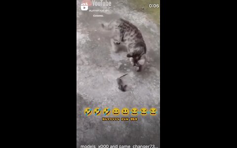 Trending funny cat and mouse trending comedy video 🤣🤣🤣🤣