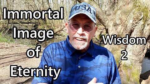 Immortal Image of Eternity: Wisdom 2