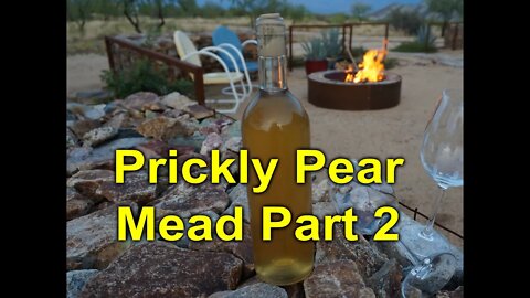 Prickly Pear Mead Part 2: Bottling, Sweetening, Tasting