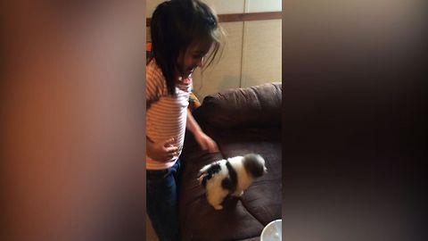 Girl Mistakes Tiny Dog For Hamster