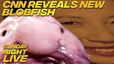 Animal Human Hybrid Blobfish Revealed By CNN