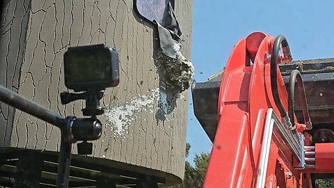 WASP NEST ON MY DEER TOWER! THIS is why I got a CAB TRACTOR!