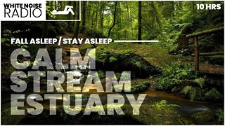 Calming Stream Estuary | White Noise Radio - Sleep Sounds