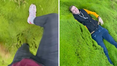 Walking through deep moss is oddly satisfying to watch